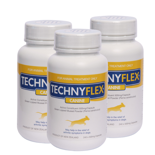 ☆SPECIAL☆ TRIPLE PACK Technyflex® Canine Joint Supplement 240 Capsules 500mg